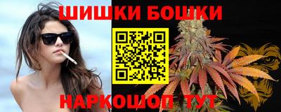 а пвп мука Ачхой-Мартан