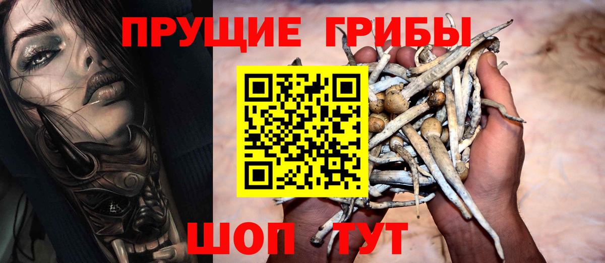 где купить наркоту  Вход с VPN  Псилоцибиновые грибы прущие грибы  Удомля  Галлюциногенные грибы ЛСД 