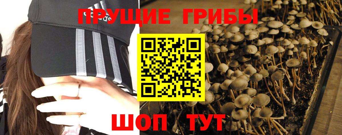 Галлюциногенные грибы Magic Shrooms Удомля